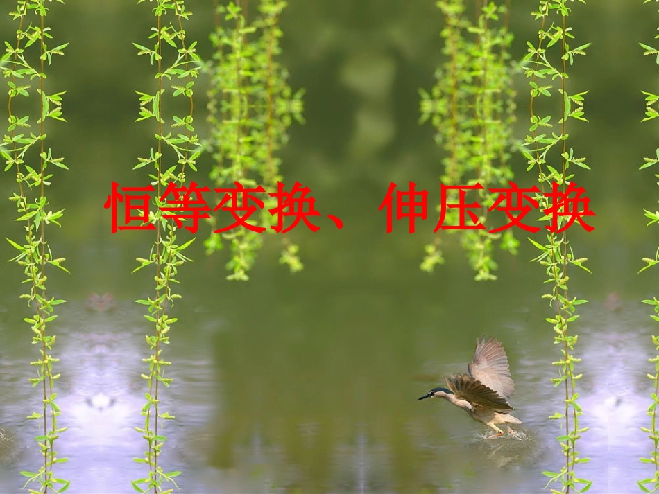 高中数学 第三课时：恒等、伸压变换课件 苏教版选修4-2 课件_第1页