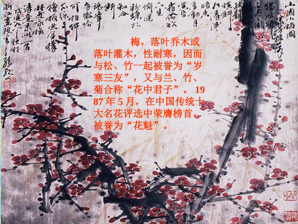 高二语文病梅馆记课件 人教版 课件_第3页