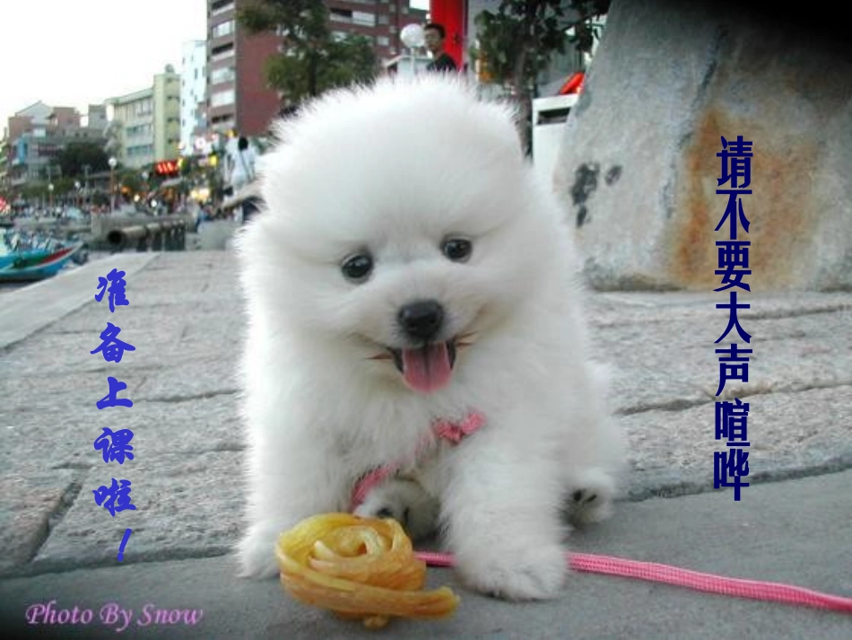 高中语文雷雨 ppt4 课件_第1页