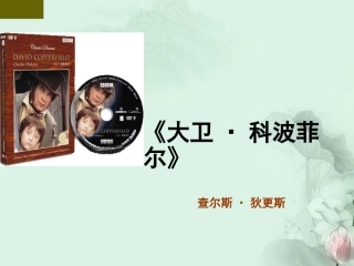 高一语文 名著导读大卫科波菲尔课件 新人教版 课件