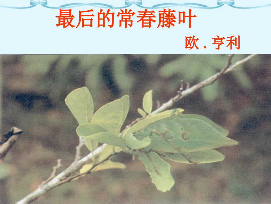 高一语文最后的常春藤叶课件 苏教版 课件_第2页