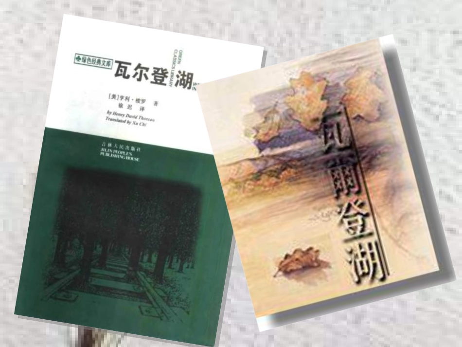 高中语文 寂寞课件 语文版必修1  课件_第3页