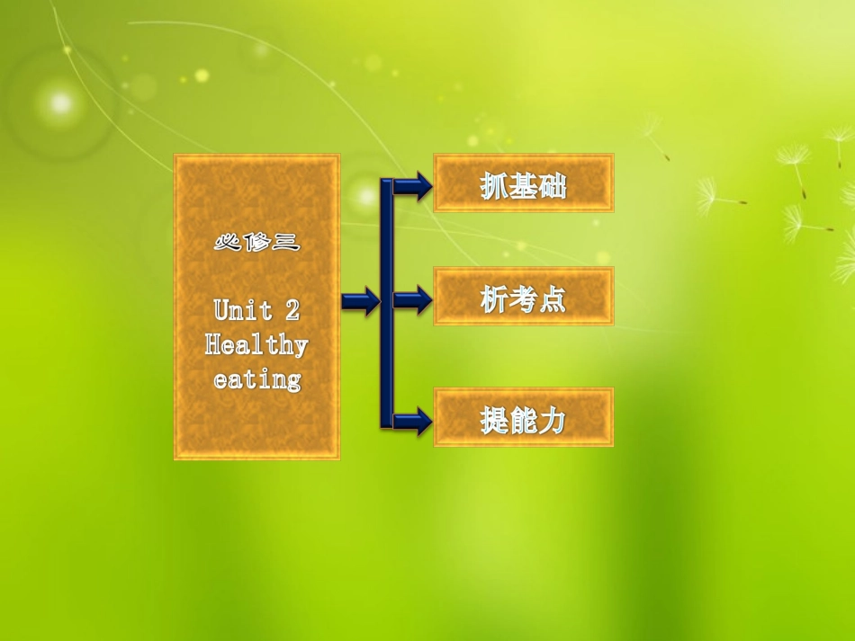 高考英语复习 Unit2 Healthy eating专题课件 新人教版必修3 课件_第2页