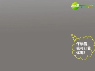 高中语文(动物游戏之谜)教学课件 新人教版必修3 课件