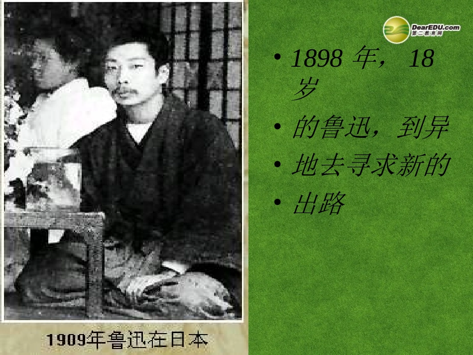 高三语文 阿Q正传复习课件_第3页