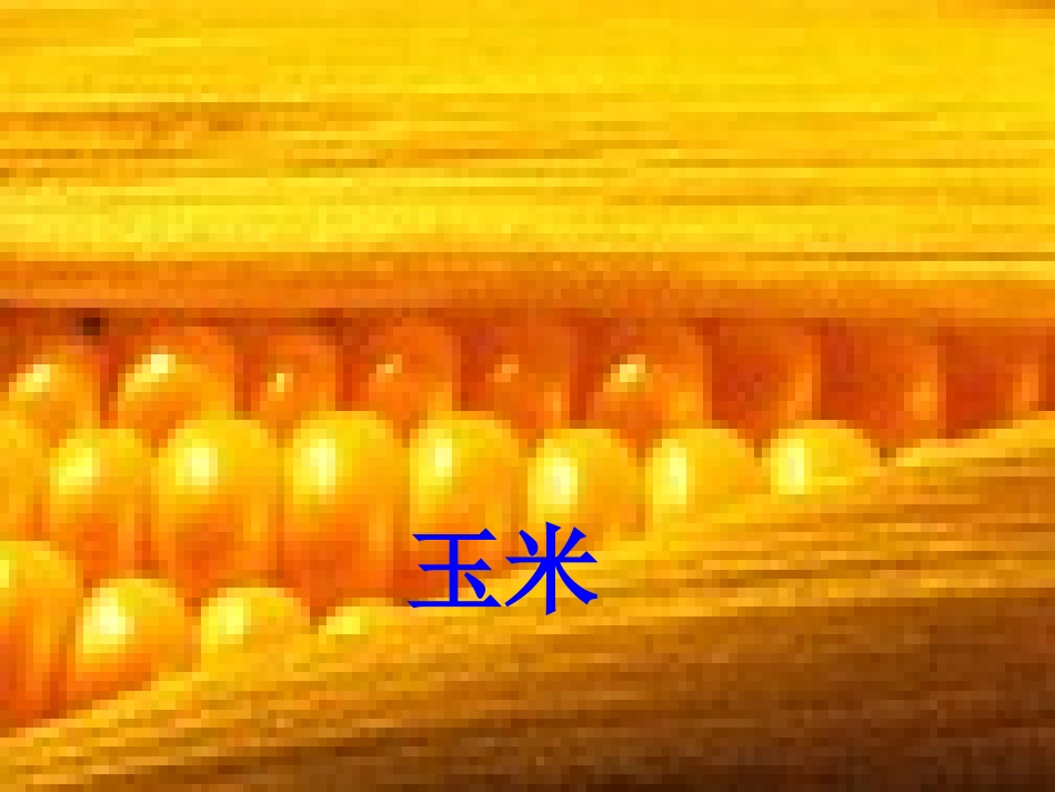 第二分校八年级地理 因地制宜发展农业课件_第3页