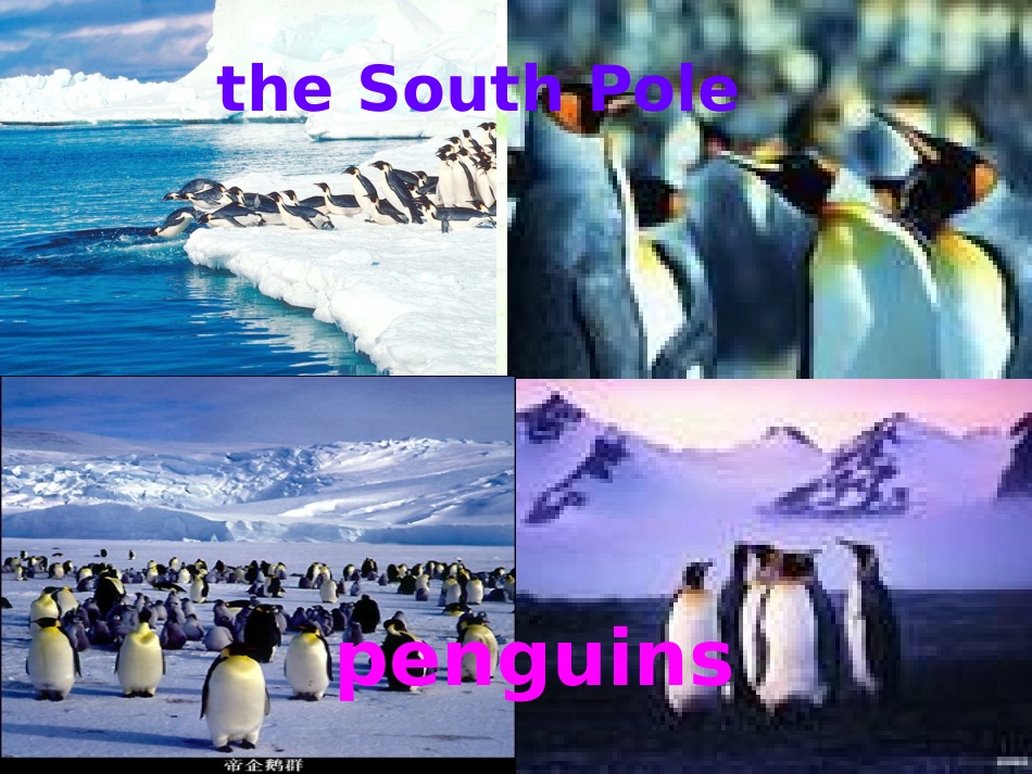 高三英语第一轮复习高一Unit17 Great women 试题_第2页