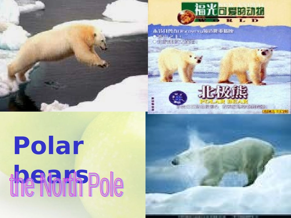 高三英语第一轮复习高一Unit17 Great women 试题_第3页