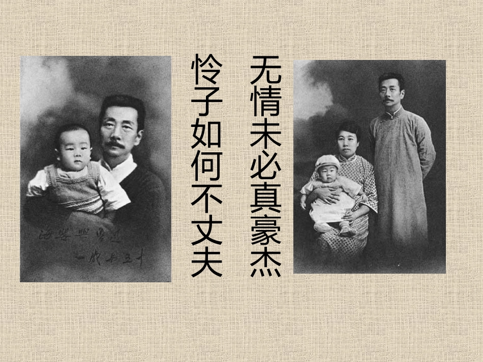 高中语文人教版必修Ⅰ 纪念刘和珍君 ppt 课件_第3页