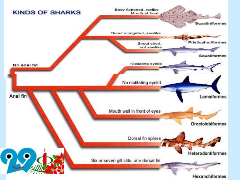 高中英语Unit 1 The world of our senses--Period 1ppt 课件_第3页