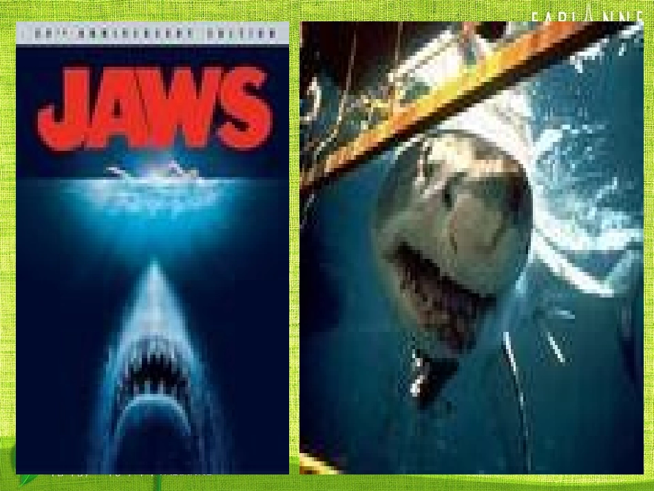 高中英语 Unit7lesson 4 sea stories 参赛课件 北师大版 课件_第3页