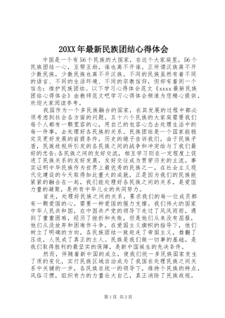 20XX年最新民族团结心得体会