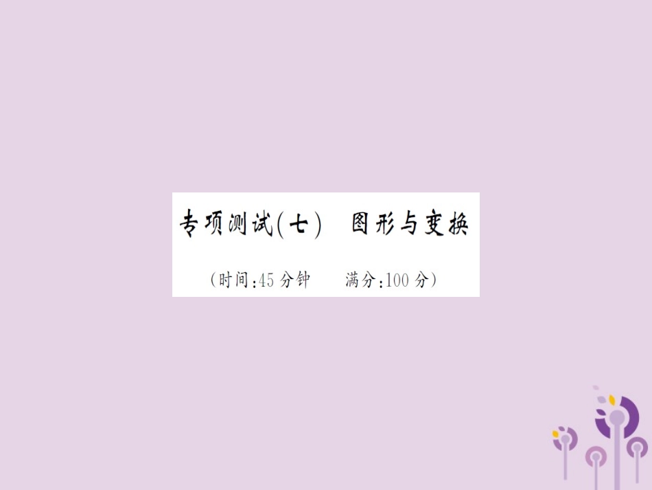 湖北省中考数学 专项测试(七)图形与变换习题练课件_第1页