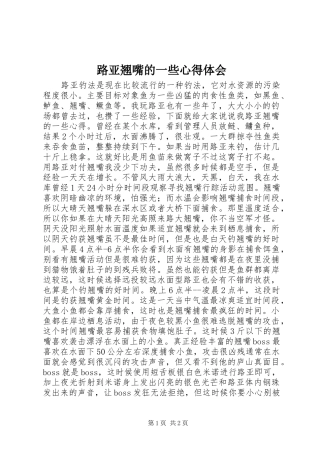 路亚翘嘴的一些心得体会