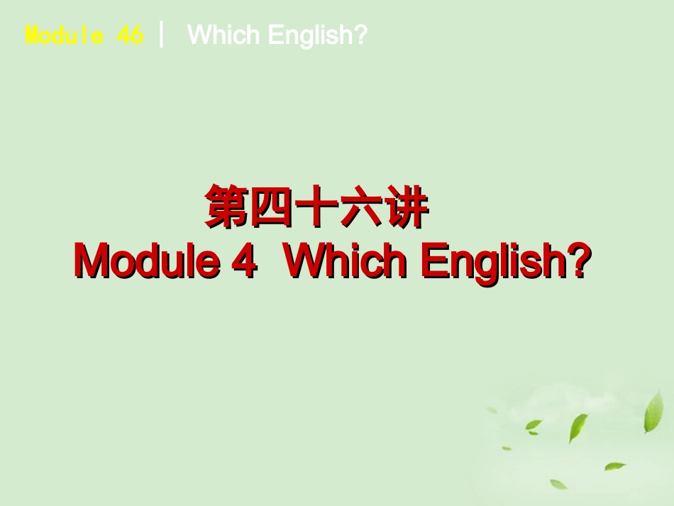 高中英语 Which English课件 外研版选修8 课件_第2页