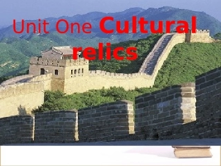 高中英语 unit1 reading课件2 新人教版必修2 课件