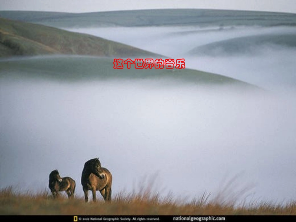 高中语文(这个世界的音乐)课件3 北京版必修2 课件_第3页