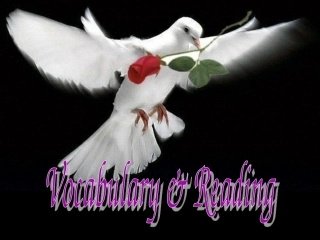 高中英语 Module6(War and Peace)introduction,reading and voca课件5 外研版选修6 课件