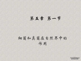 细菌和真菌在自然界中的作用八年级生物上册第五单元第五章第一节 课件