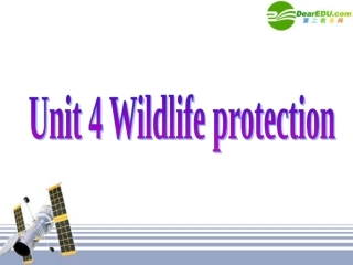 高考英语一轮复习 Book Two Unit 4 Wildlife Protection备考课件 新人教版必修2 课件