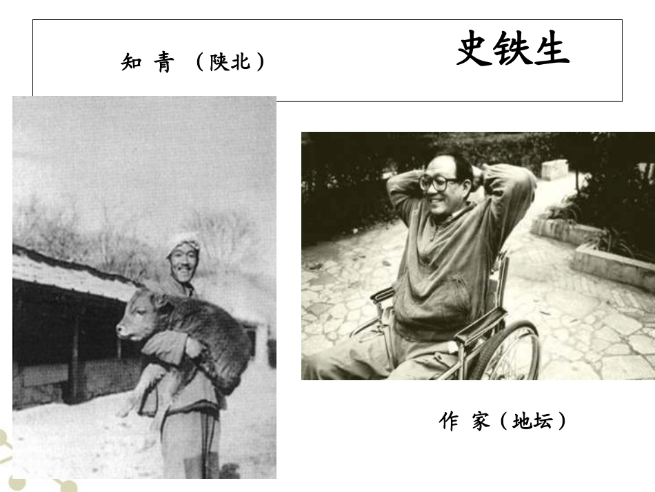 高中语文 合欢树(2)课件  新人教版修(中国现代诗歌散文欣赏) 课件_第2页