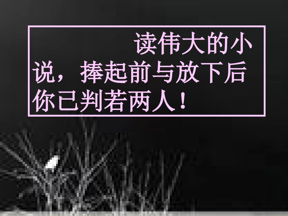 高中语文：(丹珂)课件_第2页