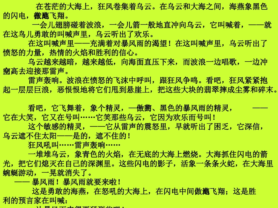 高中语文：(丹珂)课件_第3页