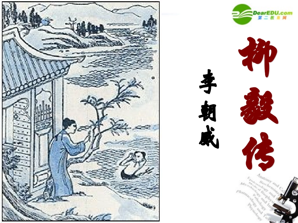 高中语文 第六单元第23课(柳毅传)课件 大纲人教版第四册 课件_第1页