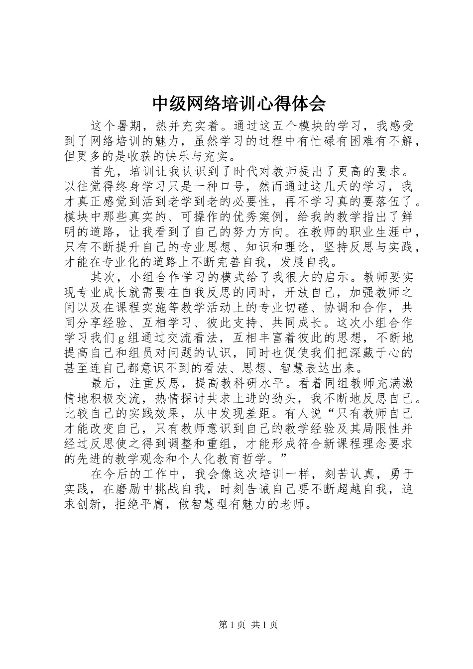 中级网络培训心得体会_第1页