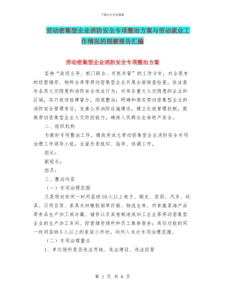 劳动密集型企业消防安全专项整治方案与劳动就业工作情况的视察报告汇编