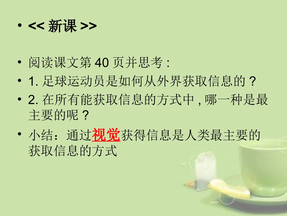 甘肃省会宁县七年级生物下册(人体对信息的感知)课件  课件_第3页