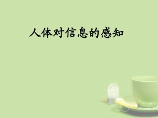 甘肃省会宁县七年级生物下册(人体对信息的感知)课件  课件