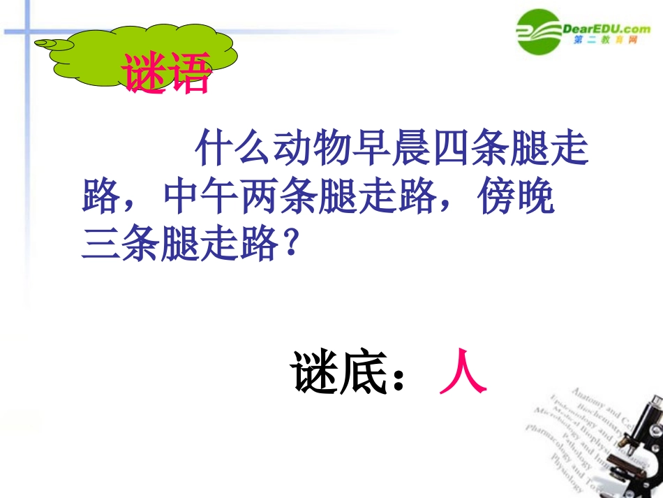 高中语文 第四专题(人是能思想的苇草)课件 苏教版必修5 课件_第1页