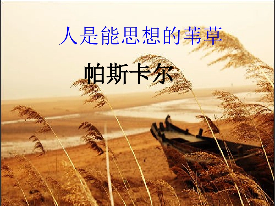 高中语文 第四专题(人是能思想的苇草)课件 苏教版必修5 课件_第3页