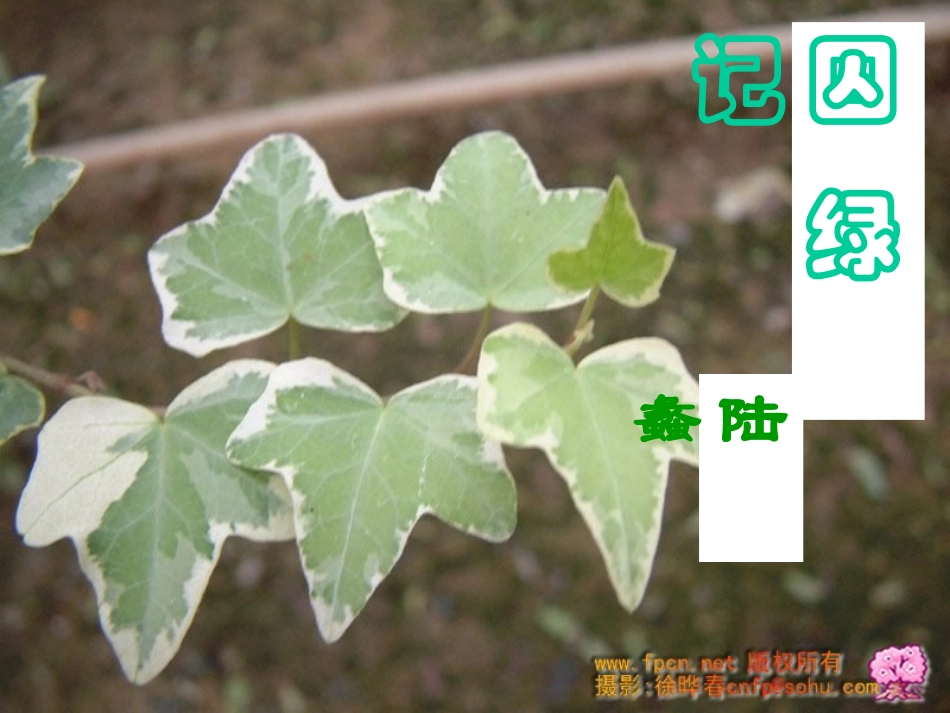 高中语文选修4囚绿记 ppt3 课件_第1页