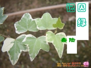 高中语文选修4囚绿记 ppt3 课件