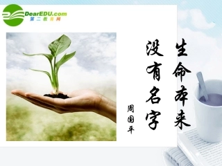 高中语文(生命本来没有名字)课件 沪教版第一册 课件