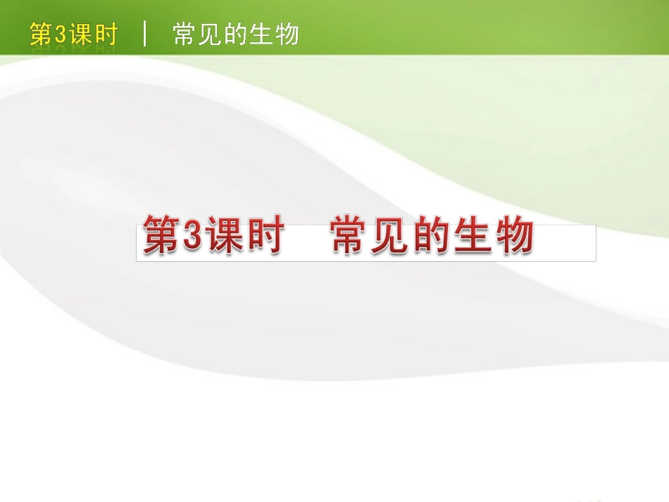 版中考生物一轮复习(含中考新题) 第3课时常见的生物精品课件 浙教版 课件_第1页