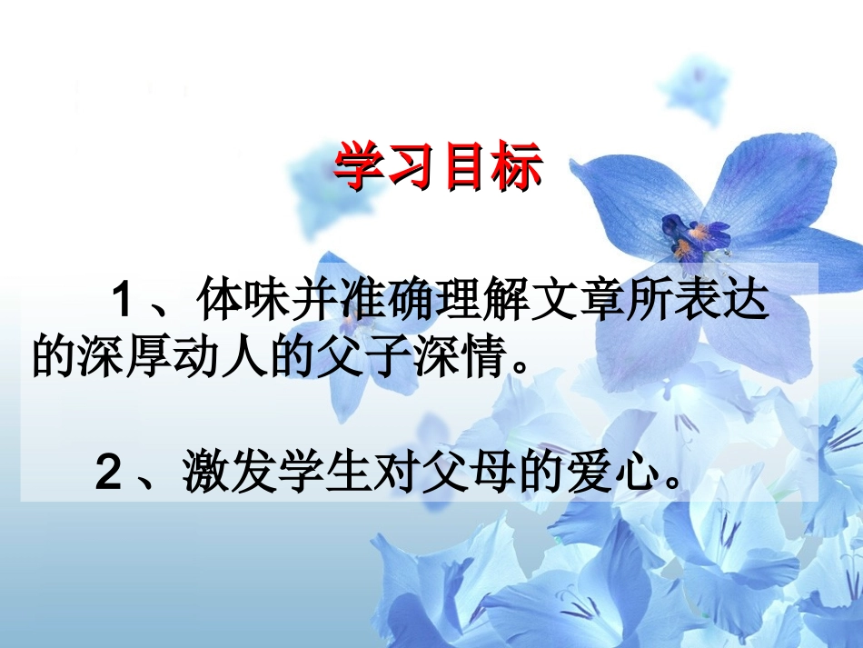 课件 背影 (背影)教学课件5 (背影)教学课件5_第2页