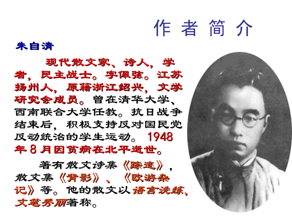 课件 背影 (背影)教学课件5 (背影)教学课件5_第3页