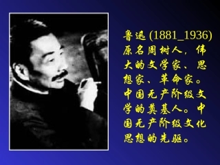 高中语文必修3药3ppt 课件