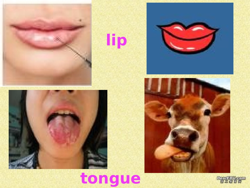 高二英语Unit3 using language课件 人教版 课件_第2页