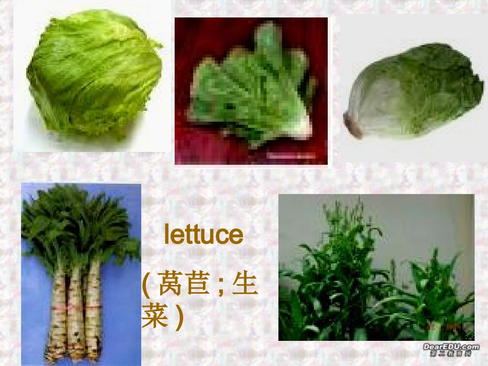 高二英语Unit3 using language课件 人教版 课件_第3页