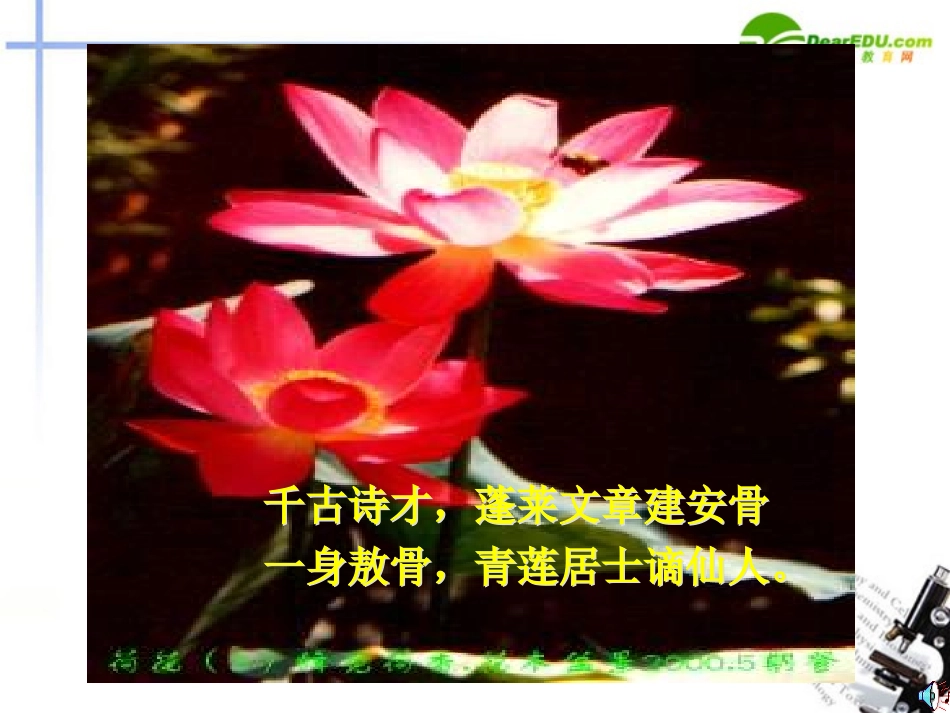 高中语文(梦游天姥吟留别)课件2 沪教版第二册 课件_第2页