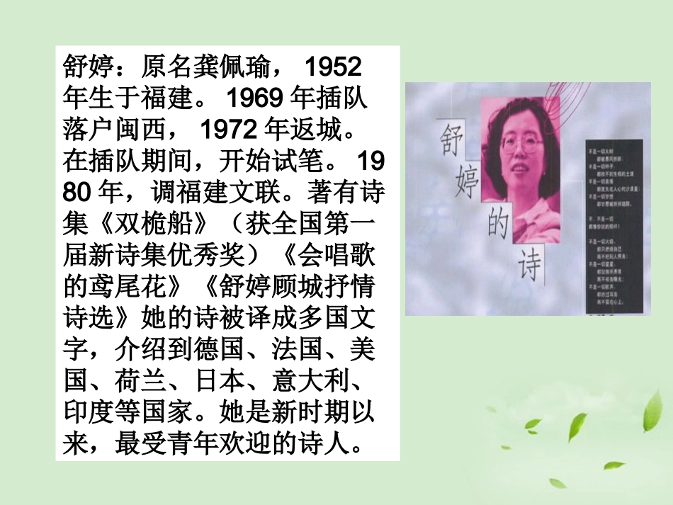 高中语文 (祖国啊，我亲爱的祖国)课件 苏教版必修2 课件_第3页
