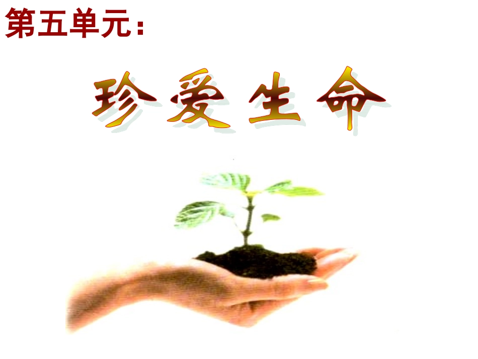 生命宝贵 七年级下学期5.1生命宝贵课件 粤教版_第1页