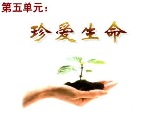 生命宝贵 七年级下学期5.1生命宝贵课件 粤教版