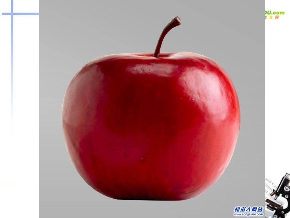 高中语文 22(安东诺夫卡苹果)课件 新人教版选修(外国小说欣赏) 课件_第1页