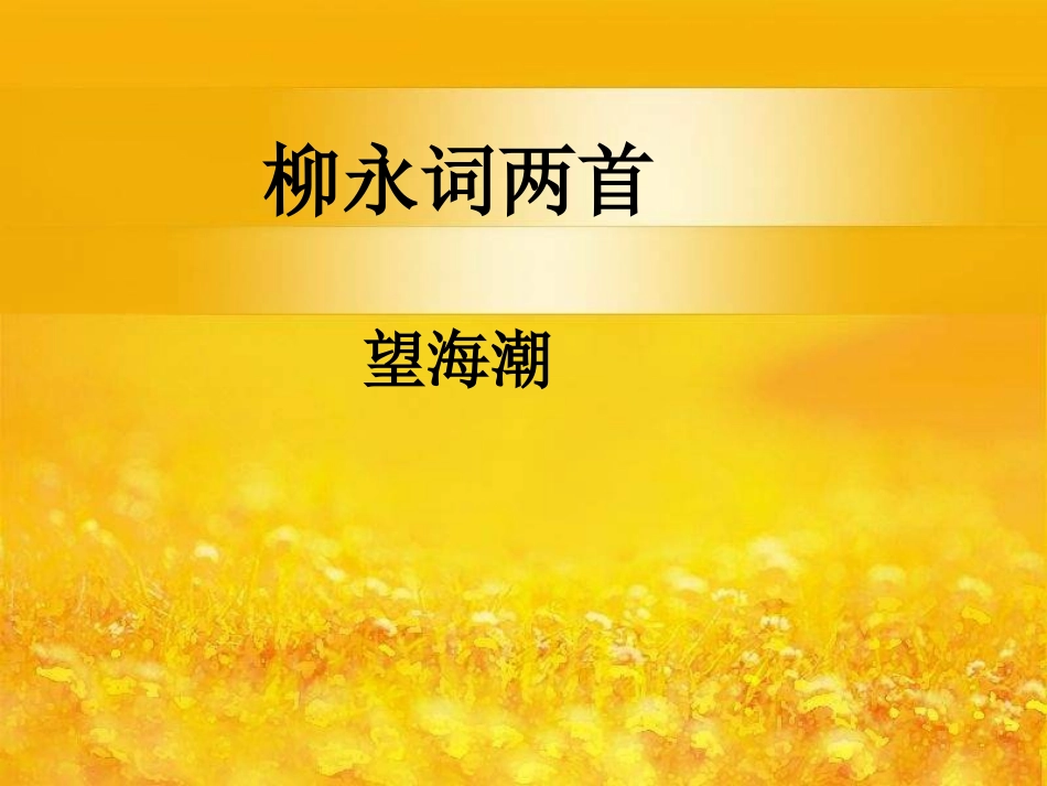 高中语文 (望海潮)课件 新人教版必修4 课件_第1页