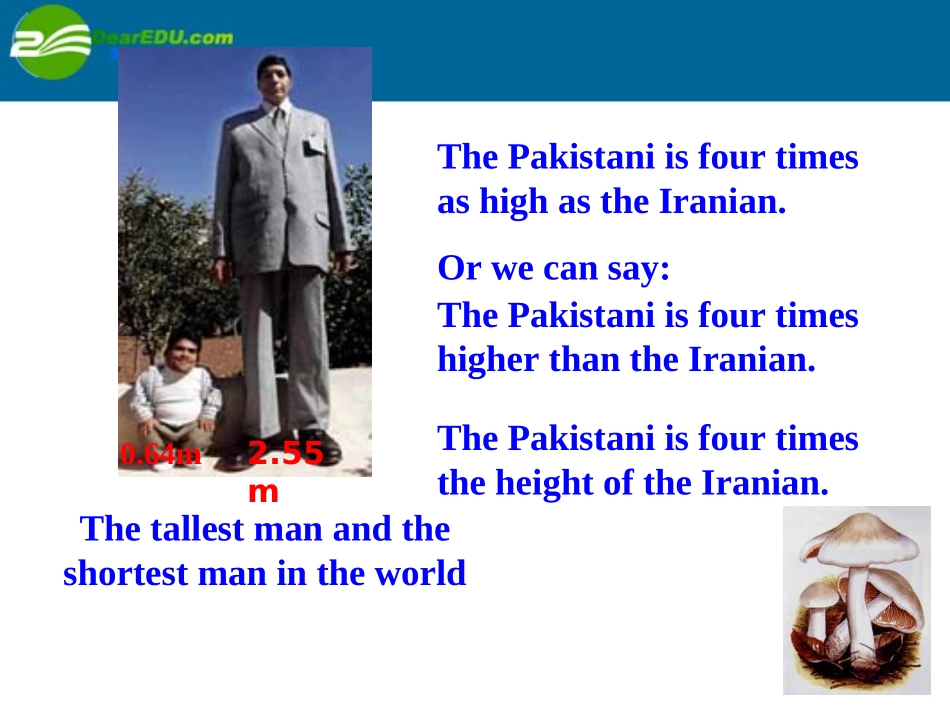 高中英语 module5 grammar课件 外研版必修1 课件_第2页